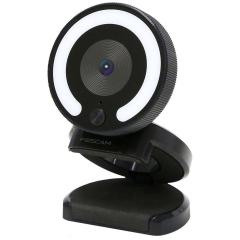 Webcam Foscam W28 schwarz 1920 x 1080 , 2 MP 
